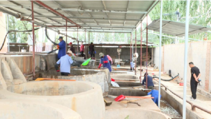 以专业保洁赋能农产品精深加工 做强做大产业，助推乡村振兴